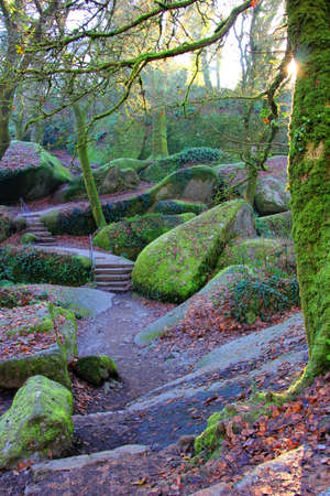 Beautiful path through the magic forest of Huelgoatの写真素材