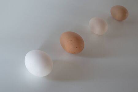 portrait of four eggs with different color and size on neutral tableの写真素材