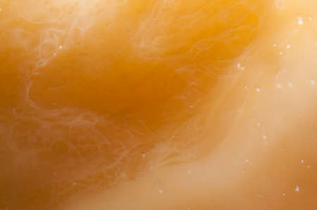 coffe and milkの写真素材