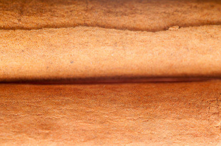 cinnamonの写真素材