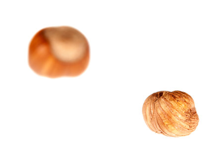 hazelnut