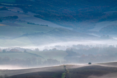 Montalcino landscape, Tuscany, Italy.