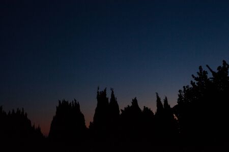 Blue sky night silhouette sunset treesの写真素材