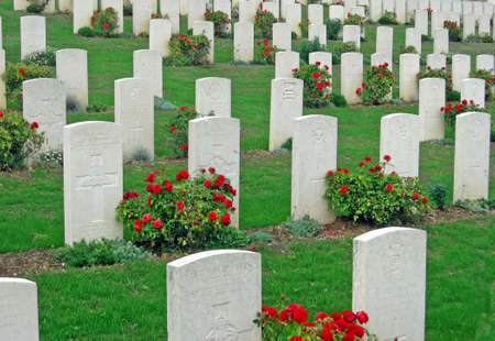 crosses in the cemetery of the Italian and Austrian soldiers who fell during World War I のeditorial素材