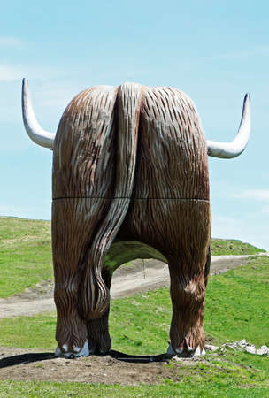 Yak is a stuffed animal like the bull  with horns seen from behind の写真素材