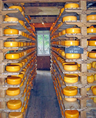 Dutch yellow wine with cheese crust のeditorial素材