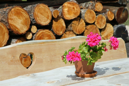 wooden bench with engraved heart and flower vase near the chalet