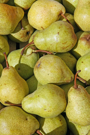 mature green and yellow pears for sale at the fruit market