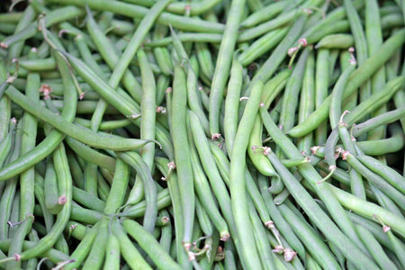 Green beans for sale at vegetable market in December