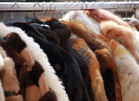 vintage furs for sale at flea marketの写真素材