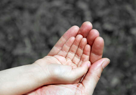 big hand supports the small hand of her young daughterの写真素材