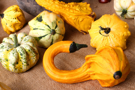 autumn with colorful decorative pumpkins on jute bag