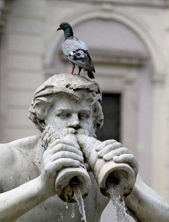 detail of the statue of the fountain in Piazza Navona with a pigeon on his headの写真素材