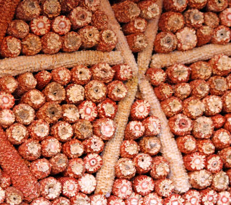 red piles of dry canals COB piled in a stackの写真素材