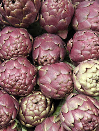 Green fresh artichokes for sale at vegetable market 1の写真素材