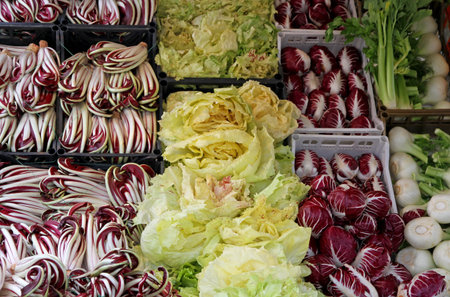 Purple and Red radicchio and chicory salad and other fruits for sale at the market in the stand of...