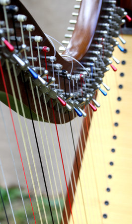 Iron keys to adjust the tension of the delicate strings of an giant harp
