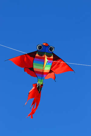 colorful giant kite that flies high in the sky blueの写真素材