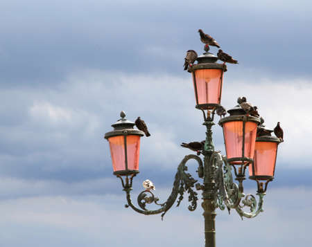 Pink glasses of the ancient Venetian Street lamp with the pigeons in Veniceの写真素材