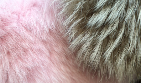 background of gray and pink  fur coat