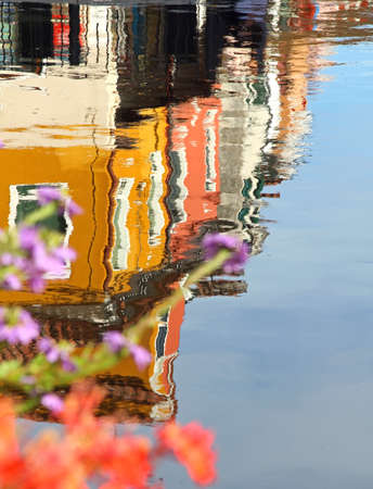 reflection of colored houses of burano island and flowersの写真素材