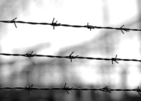 three lines of barbed wire to demarcate the borderの素材 [FY31035326154]