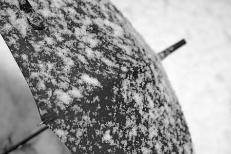 white snow and black umbrella during a snowfall in winterの写真素材