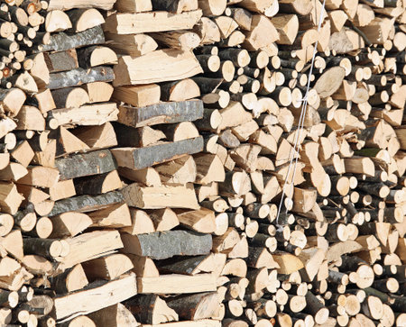 large Woodshed with pieces of wood cut for the stove