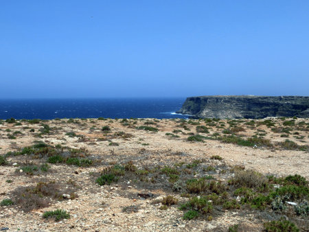 clean sea of the LAMPEDUSA island in Italyの写真素材