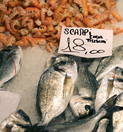 scampi and gilthead bream for sale in fish market