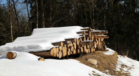 pile of logs cut in the mountains under the white snowの写真素材