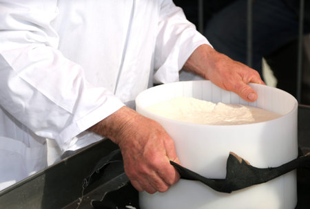 hands of the elderly man of cheese while doing the cheese in the dairy