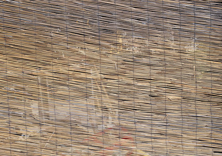 abstract background of large bamboo canes entwined with each other