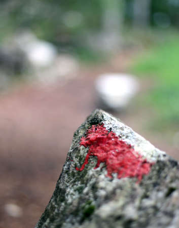 White and red paint to indicate the mountain trail in the thick forestの写真素材