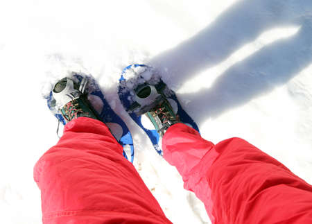 Legs of People while snowshoeing in the mountains on the white soft snowの写真素材