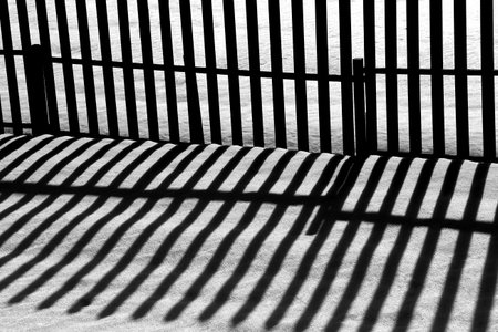 black fences with long shadows in the evening