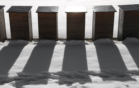 series of wooden cabins lined with long shadows at sunset in the resort