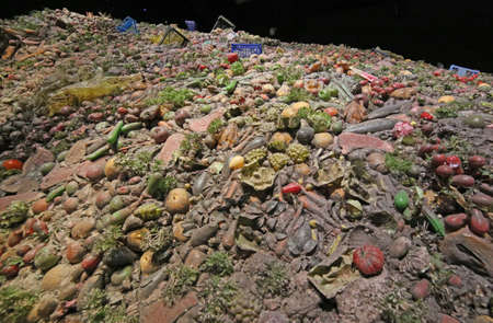 Milan, MI, Italy - 8th September, 2015. Expo Milan 2015 Universal Exposition. Detail of the Pavilion Zero. Pile of wasted food to symbolize the culture of wasteのeditorial素材