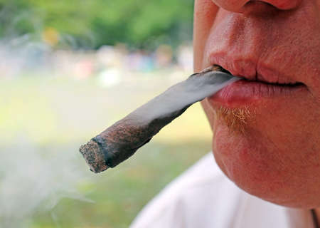 cigar in mouth of a smokerの写真素材