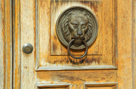 artistic knocker in the shape of a lion's head with mane on wooden door