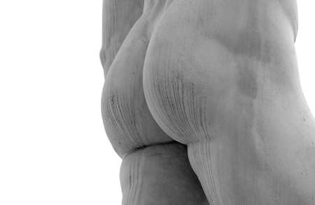detail of the butt of the statue of marble with solid buttocksの写真素材
