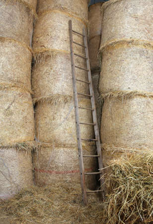 old wood ladder in the barn of the farmの写真素材