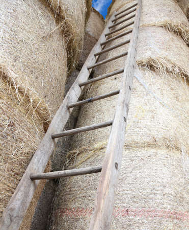 old wood ladder in the barn of the farmの写真素材