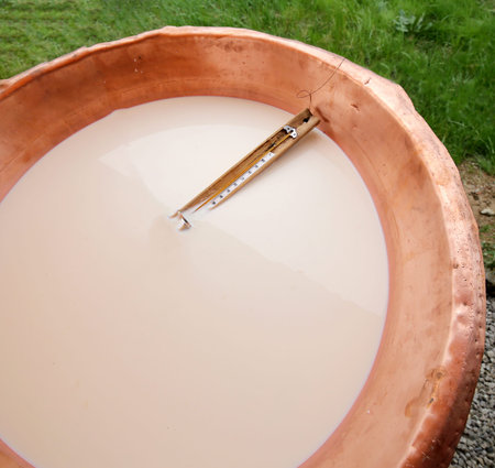 thermometer in a copper pot with the milk and the whey for the production of cheese