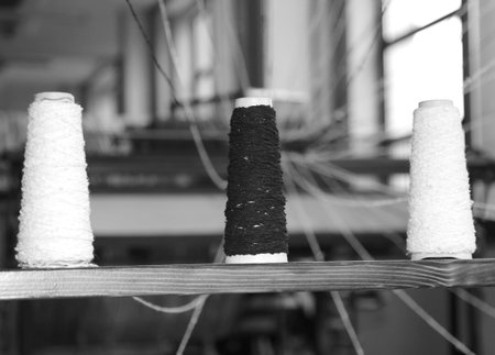 mechanical loom for the production of fabrics with the three wire splolette for spinning