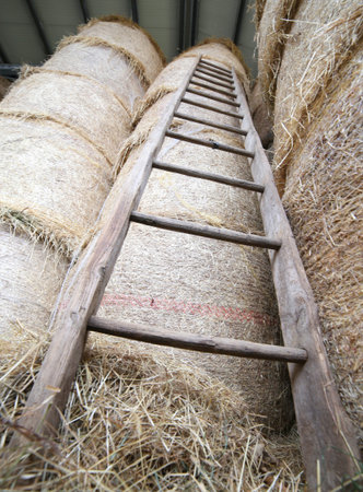 old wood ladder in the barn of the farm
