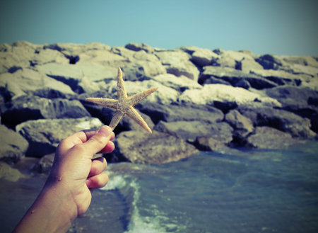 hand of child holding big starfish close to the sea cliff in summerの写真素材