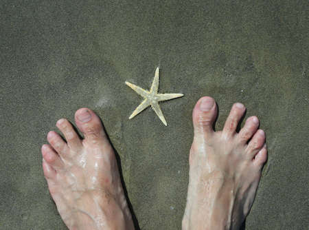 barefoot on the sand and starfish in summerの写真素材