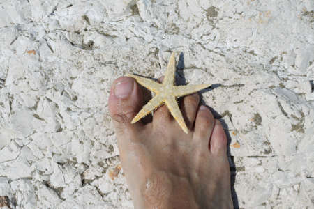 big foot barefoot of a young man and starfish on white rocks in summerの写真素材