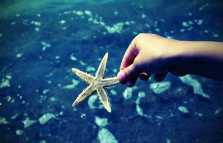 child holds in his hand the starfish on the sea shoreの写真素材